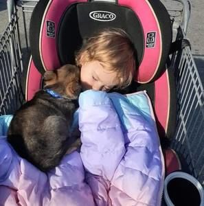 Meet your Posher, Boddie